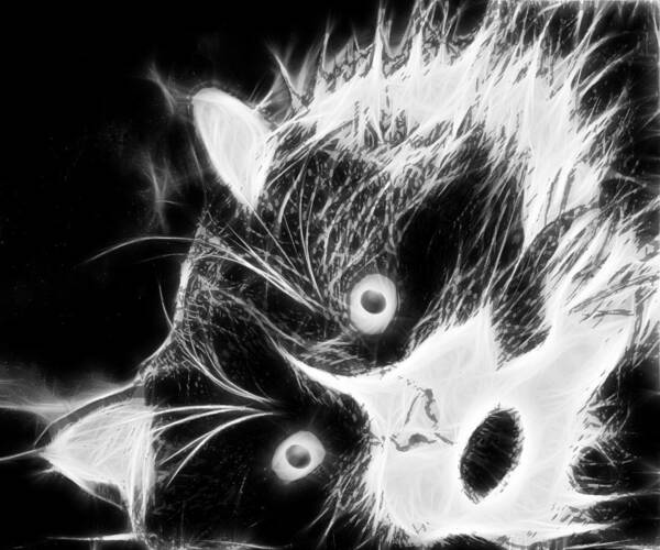 Design Art Print featuring the digital art Tuxedo Cat in Black and White by Marlene Watson