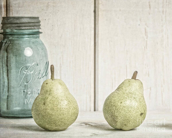 Pear Art Print featuring the photograph Two Pear Still Life by Edward Fielding