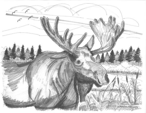 Vermont Bull Moose Art Print featuring the drawing Vermont Bull Moose by Richard Wambach