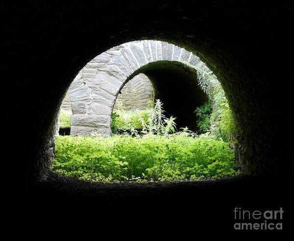 Harper's Ferry Art Print featuring the photograph Virginius Island Aqueducts by Jane Ford