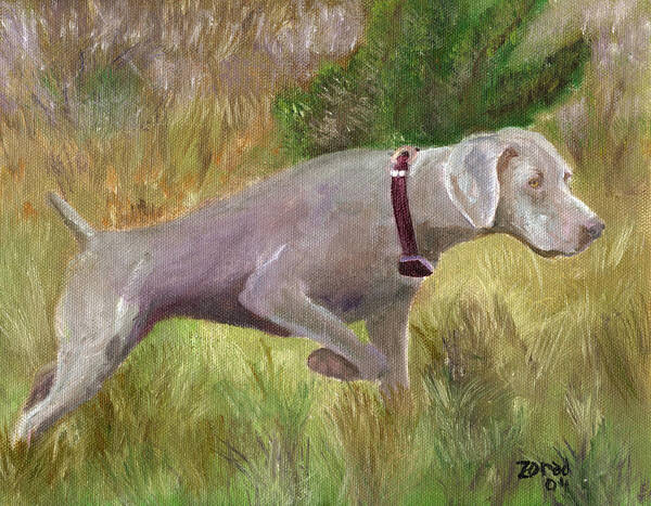 Weimaraner Dog Painting Art Print featuring the painting Weimaraner Point by Mary Jo Zorad