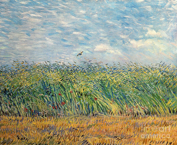 Post-impressionist Art Print featuring the painting Wheatfield with Lark by Vincent van Gogh