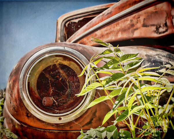 Rusty Art Print featuring the photograph Where is the Headlight by Diane Enright