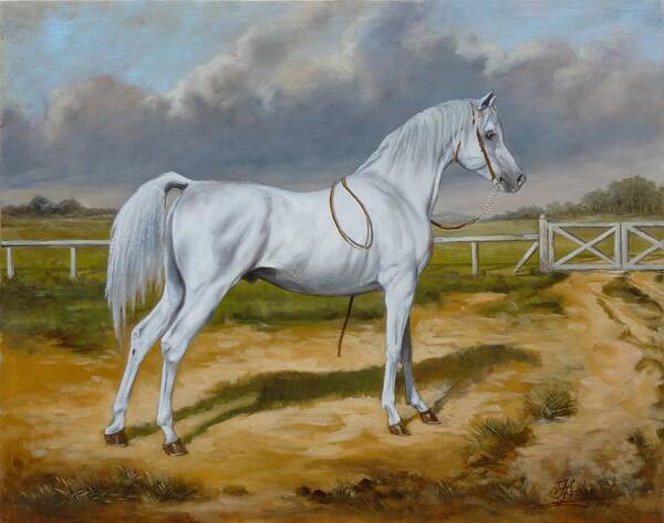 Horse Art Print featuring the painting White arabian stallion by Irek Szelag