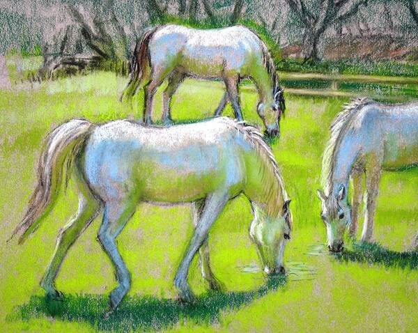 Horses Art Print featuring the painting White Horses Grazing by Sue Halstenberg