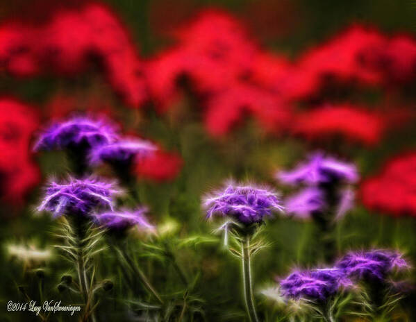 Verbena Art Print featuring the photograph Wildflower Fantasy by Lucy VanSwearingen
