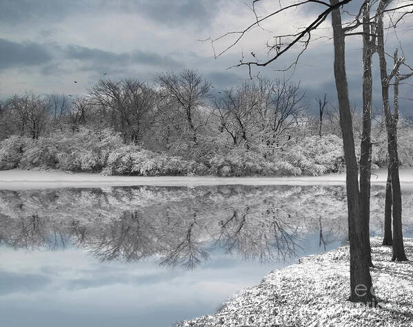 Winter Landscape Art Print featuring the photograph Winters Delight 6 by Cedric Hampton