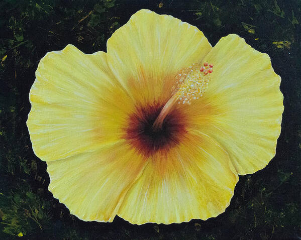 Yellow Art Print featuring the painting Yellow Hibiscus by Nancy Lauby