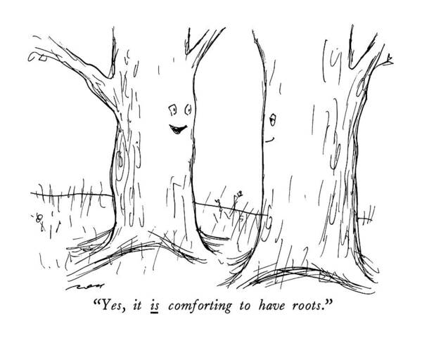 

 One Tree To Another. 
Nature Art Print featuring the drawing Yes, It Is Comforting To Have Roots by Al Ross