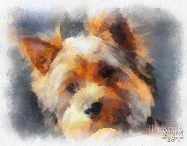 Yorkshire Terrier Art Print featuring the photograph Yorkie Love by Barbara R MacPhail