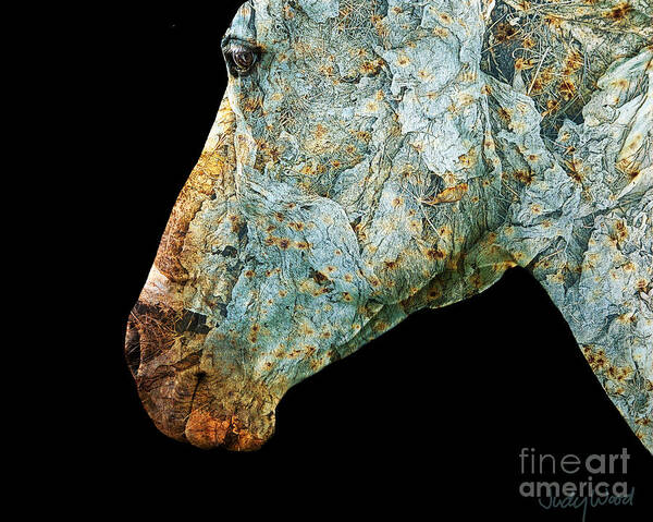 Horse Art Print featuring the digital art Zeniah variation 7 by Judy Wood