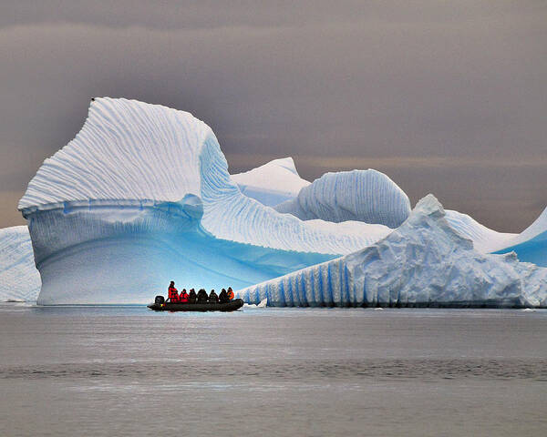 Antarctica Art Print featuring the photograph Ice Ice Baby #1 by Tony Beck