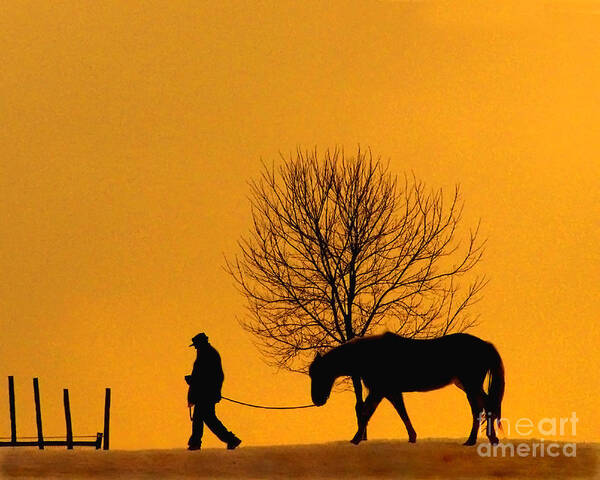 Horse Art Print featuring the photograph At The End Of The Day by Terry Doyle