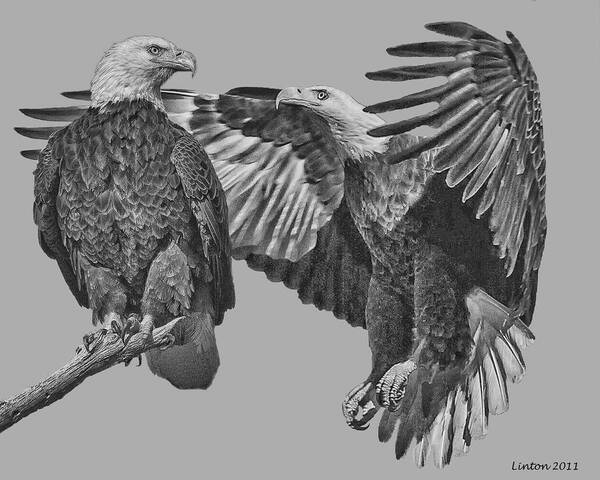American Bald Eagle Art Print featuring the digital art Bald Eagle Pair 2 by Larry Linton