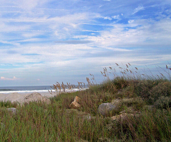 Sea Grass Art Print featuring the photograph Beach Rocks by Patricia Clark Taylor