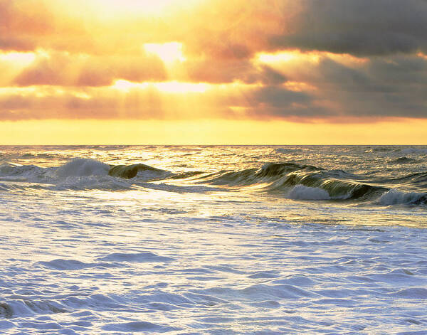 Sunrise Art Print featuring the photograph Beach Sunrise by Vicki Jauron