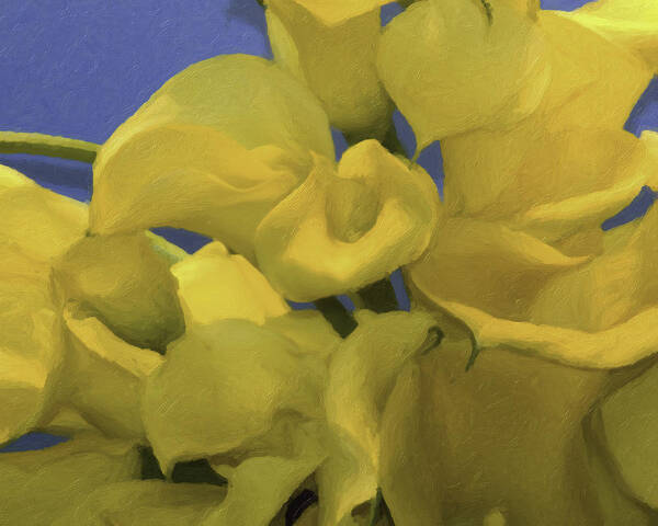 Longwood Garden Art Print featuring the photograph Blue and Yellow by Trish Tritz