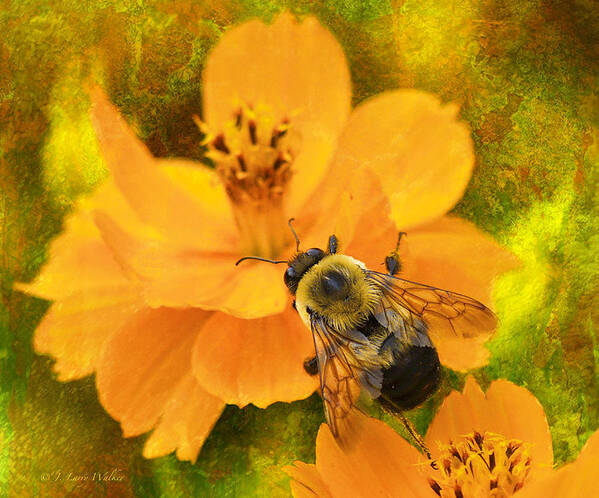 J Larry Walker Art Print featuring the digital art Buzzy The Honey Bee by J Larry Walker