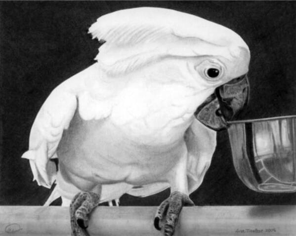 Bird Art Print featuring the drawing Cockatoo by Ana Tirolese