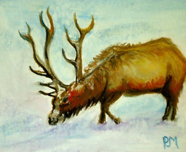 Elk Art Print featuring the drawing Elk by Pete Maier