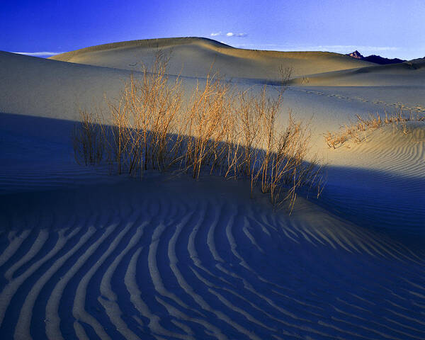 Desert Art Print featuring the photograph Fading Light Death Valley by Joe Palermo