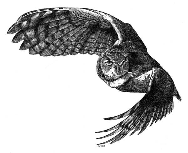 Great Horned Owl Art Print featuring the drawing Flying Owl by Scott Woyak