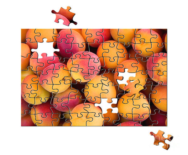 Apricot Art Print featuring the photograph Fruit jigsaw1 by Jane Rix