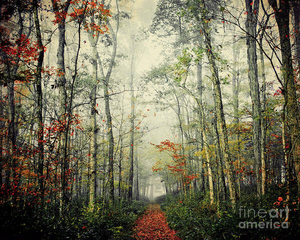 Forest Art Print featuring the photograph Gump by Katya Horner