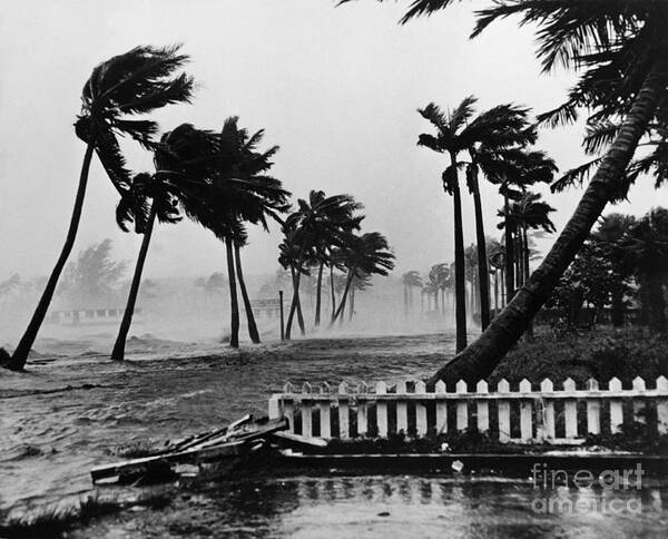 Palm Beach Art Print featuring the photograph Hurricane In Palm Beach by Omikron