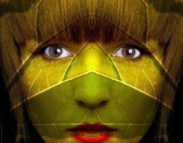 Face Art Print featuring the photograph Jungle Denizen by Jim Painter