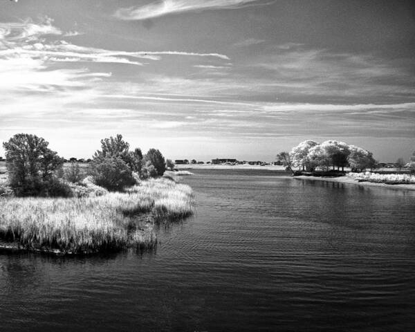 Inlet Art Print featuring the photograph Murrells Inlet - Infrared by Bill Barber