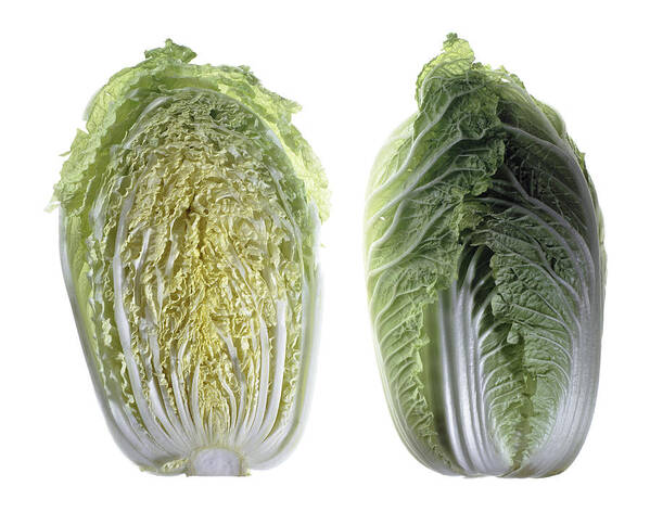 Fruit Art Print featuring the photograph Napa Cabbage by Nathaniel Kolby