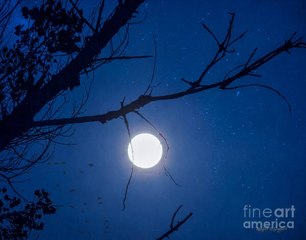 Moon Art Print featuring the digital art Once in a Blue Moon by Rhonda Strickland