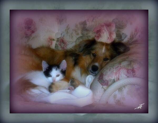 Kitty Art Print featuring the photograph Opposites Attract by Michelle Frizzell-Thompson