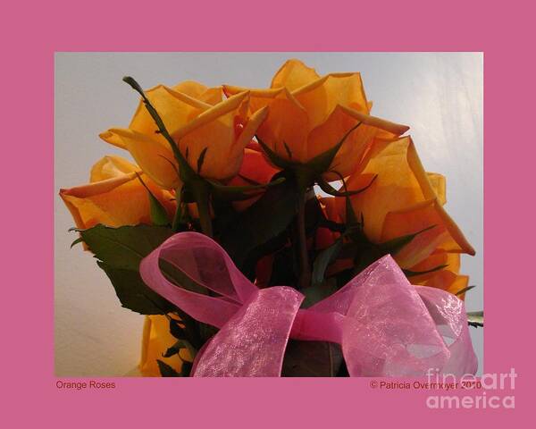 Flowers Art Print featuring the photograph Orange Roses by Patricia Overmoyer