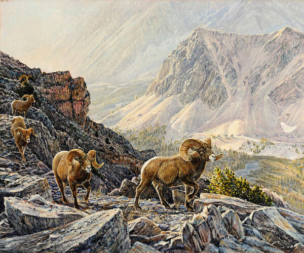 Mountain Sheep Art Print featuring the painting Pahsimeroi Dawn by Steve Spencer