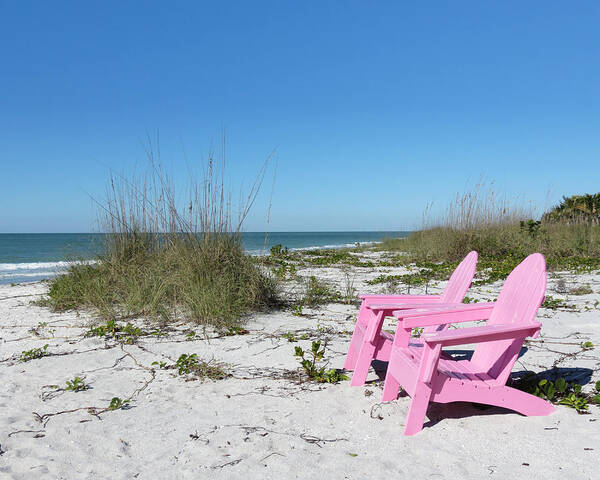 Florida Art Print featuring the photograph Pink Paradise by Chris Andruskiewicz
