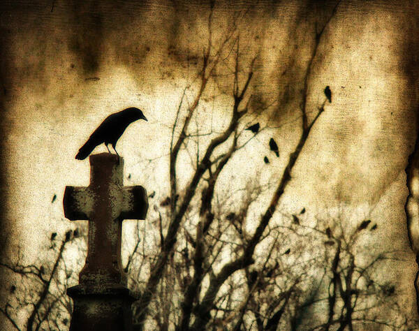 Crow Art Print featuring the photograph Soulful Crow by Gothicrow Images