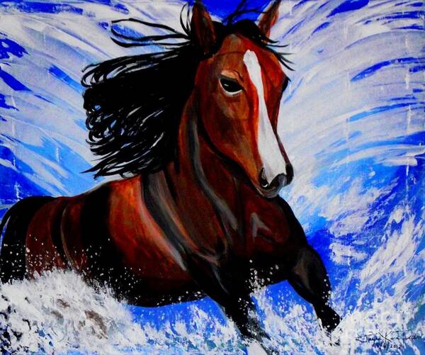 Horse Canvas Print Art Print featuring the painting Splash by Jayne Kerr 