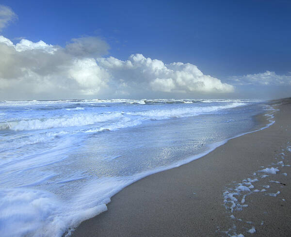 Mp Art Print featuring the photograph Storm Cloud Over Beach, Canaveral by Tim Fitzharris