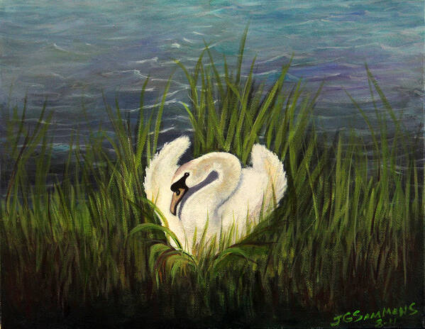 Swans Art Print featuring the painting Swan Nesting by Janet Greer Sammons