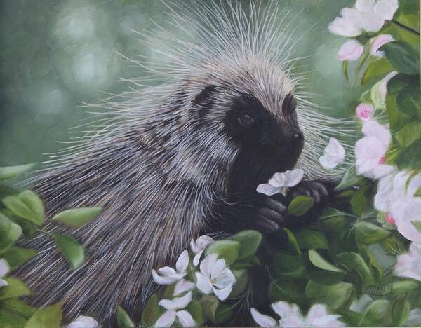 Porcupine In Apple Tree Art Print featuring the painting Sweet Treat by Tammy Taylor