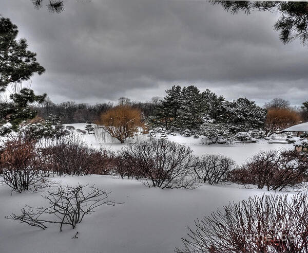 Winter Art Print featuring the photograph WInter in the Botanical Garden by David Bearden