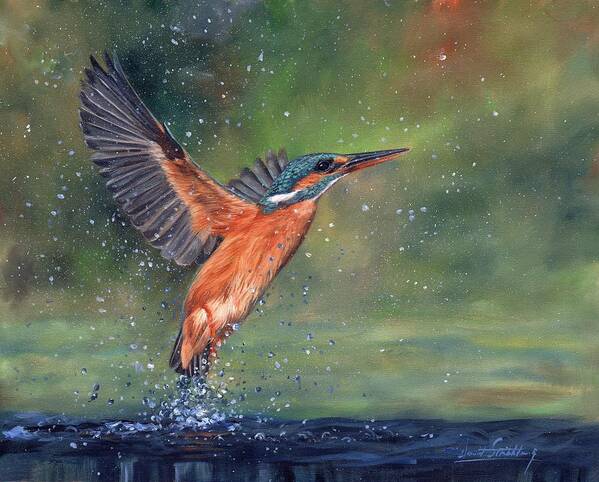 Kingfisher Art Print featuring the painting Kingfisher #2 by David Stribbling