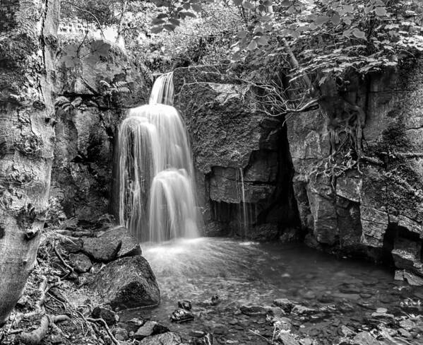 Landscapes Art Print featuring the photograph Lumsdale Falls #1 by Nick Bywater