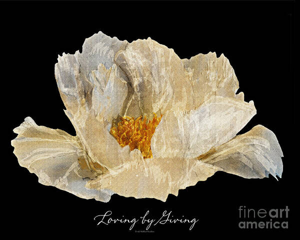 Diane Berry Art Print featuring the photograph Paper Peony #1 by Diane E Berry