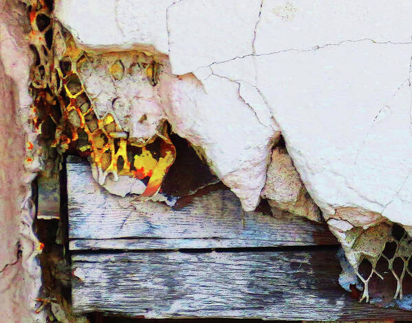 Peeling Paint Art Print featuring the photograph Peel #1 by Jessica Levant