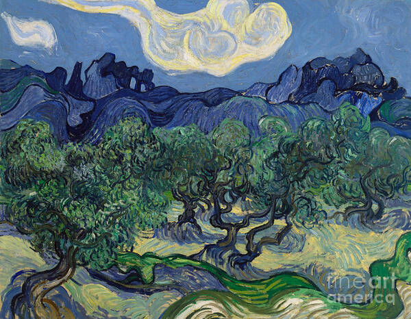 The Olive Trees Art Print featuring the painting The Olive Trees, 1889 by Vincent Van Gogh