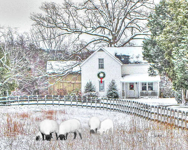 In Color Art Print featuring the photograph Virginia VA - Little Farm House In The Snow #3 by Dave Lynch