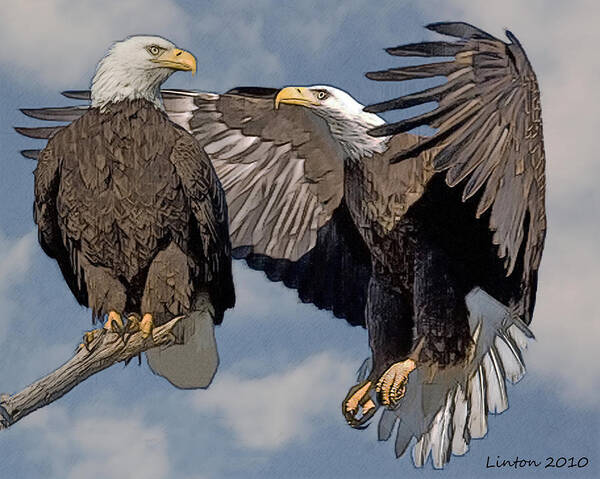 Bald Eagle Art Print featuring the digital art Bald Eagle Pair #3 by Larry Linton